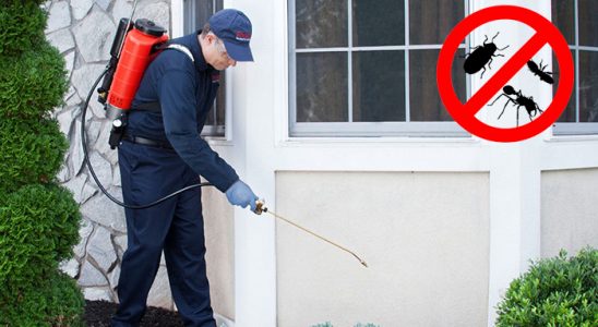 Atkaracalar Fare İlaçlama böcek ilaçlama ve haşere kontrolü — ilaclama-tr.com